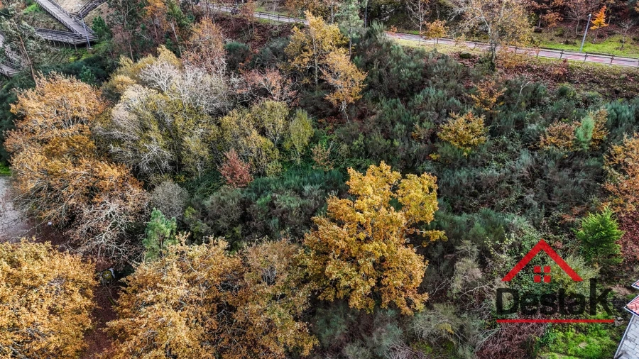 Terreno para Venda em São Pedro do Sul, Várzea e Baiões Foto 14