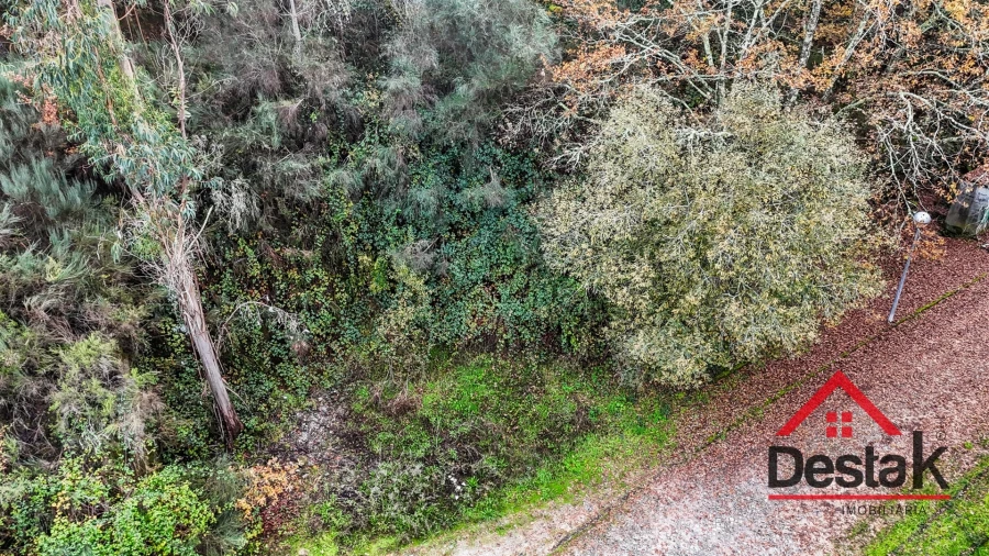 Terreno para Venda em São Pedro do Sul, Várzea e Baiões Foto 6