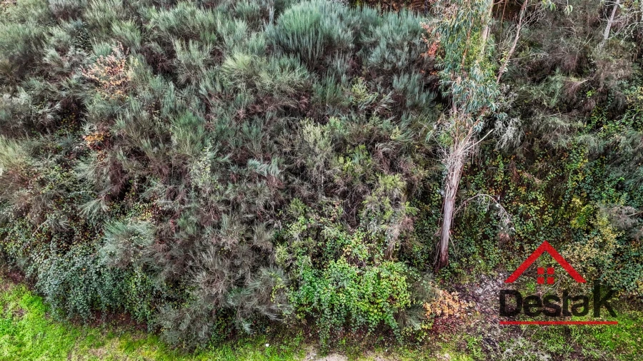 Terreno para Venda em São Pedro do Sul, Várzea e Baiões Foto 7