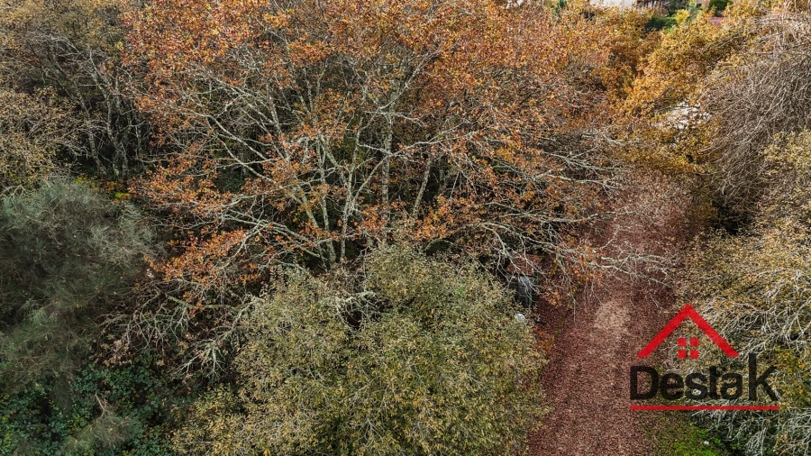 Terreno para Venda em São Pedro do Sul, Várzea e Baiões Foto 2