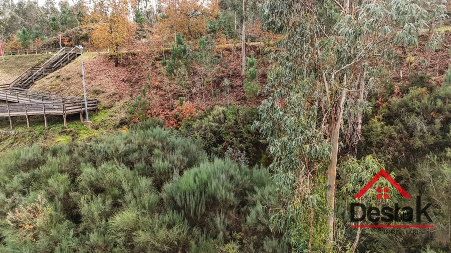 Terreno para Venda em São Pedro do Sul, Várzea e Baiões Foto 12