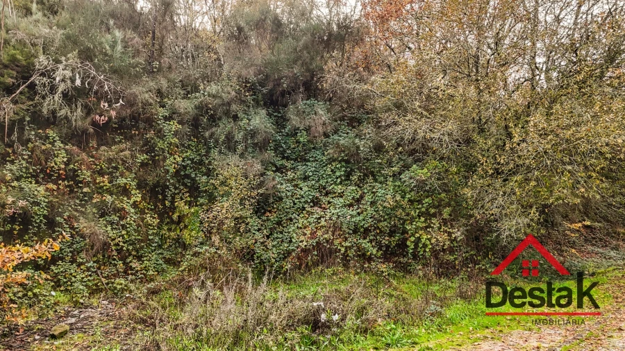 Terreno para Venda em São Pedro do Sul, Várzea e Baiões Foto 18