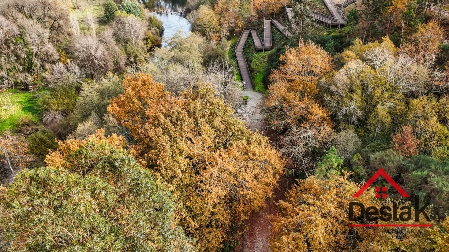 Terreno para Venda em São Pedro do Sul, Várzea e Baiões Foto 16