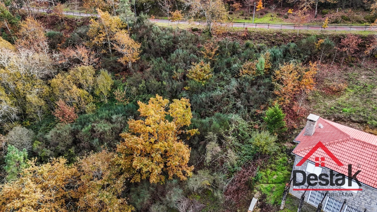 Terreno para Venda em São Pedro do Sul, Várzea e Baiões Foto 15