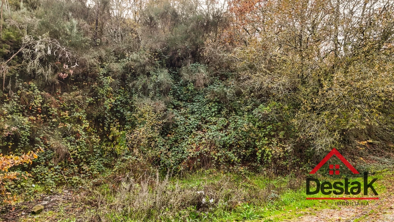 Terreno para Venda em São Pedro do Sul, Várzea e Baiões Foto 18