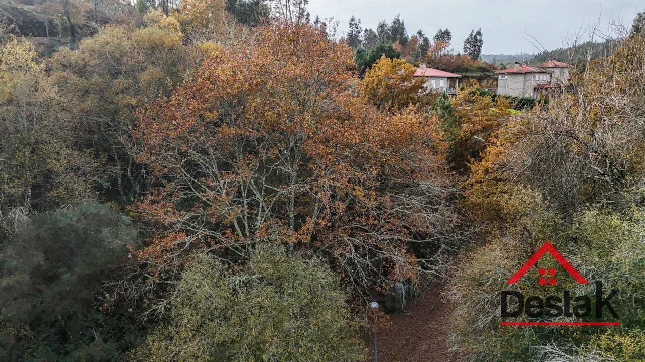 Terreno para Venda em São Pedro do Sul, Várzea e Baiões Foto 5