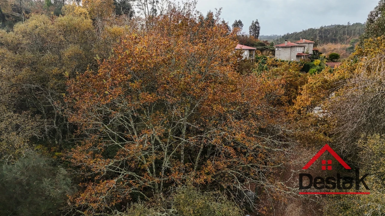 Terreno para Venda em São Pedro do Sul, Várzea e Baiões Foto 3