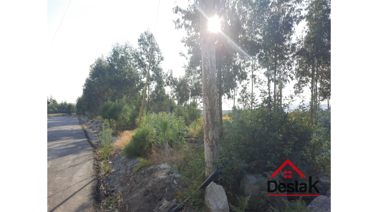 Terreno para Venda em Campia Foto 2