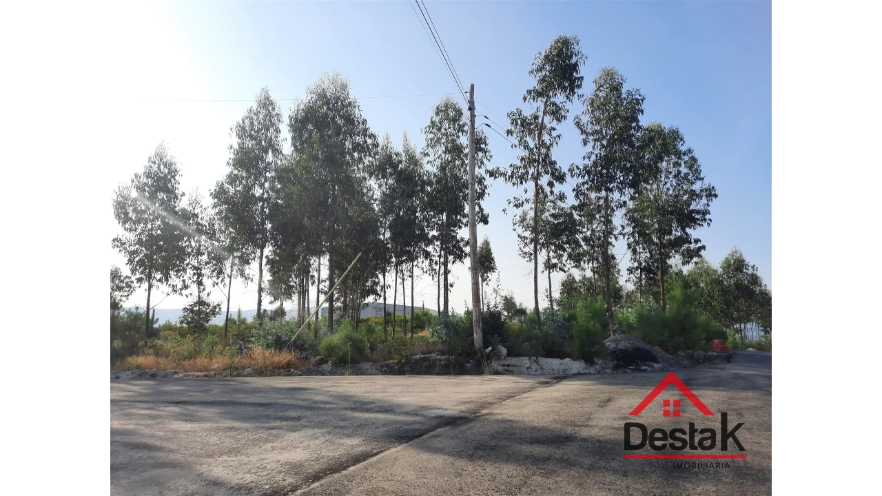 Terreno para Venda em Campia Foto 6