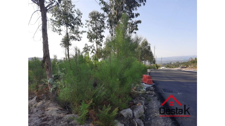 Terreno para Venda em Campia Foto 5