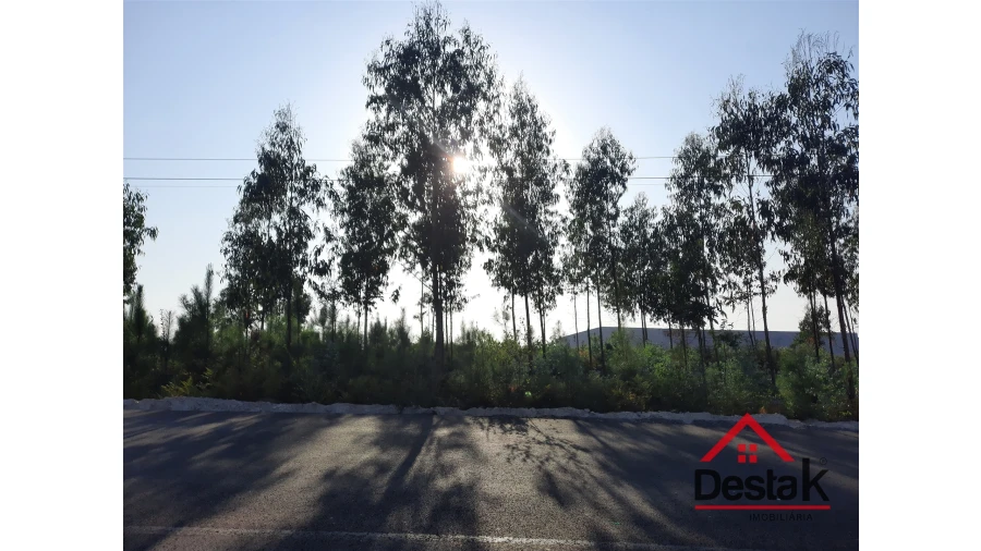 Terreno para Venda em Campia Foto 8