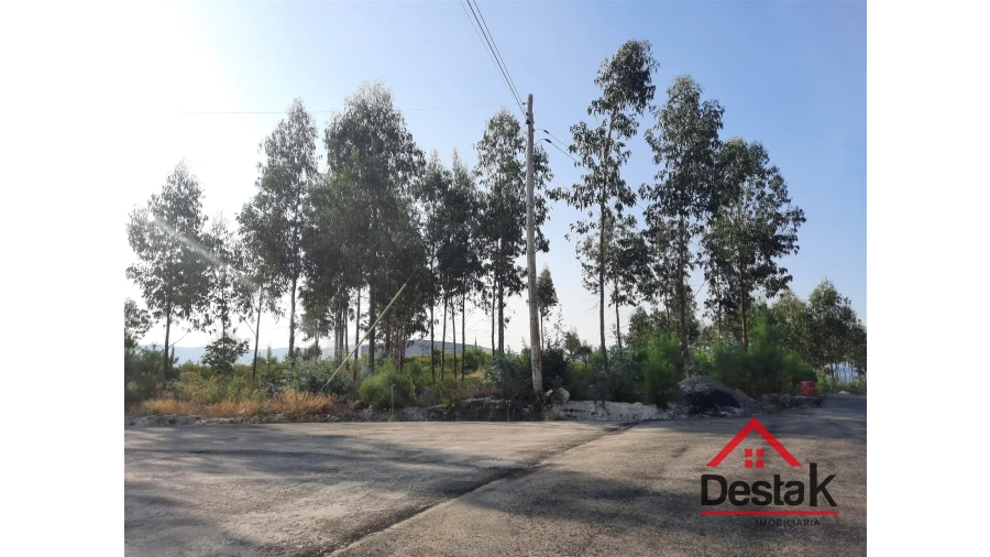 Terreno para Venda em Campia Foto 6