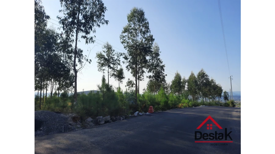 Terreno para Venda em Campia Foto 3