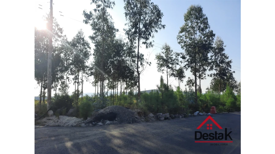 Terreno para Venda em Campia Foto 10