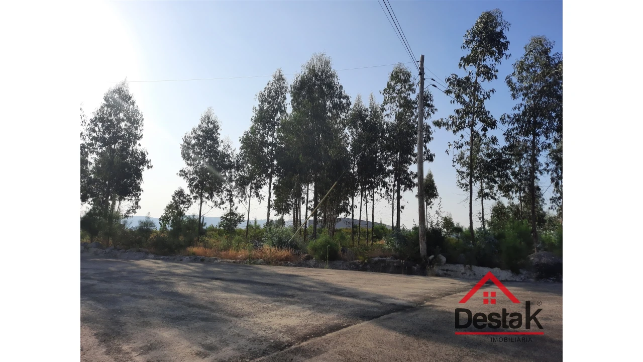 Terreno para Venda em Campia Foto 1