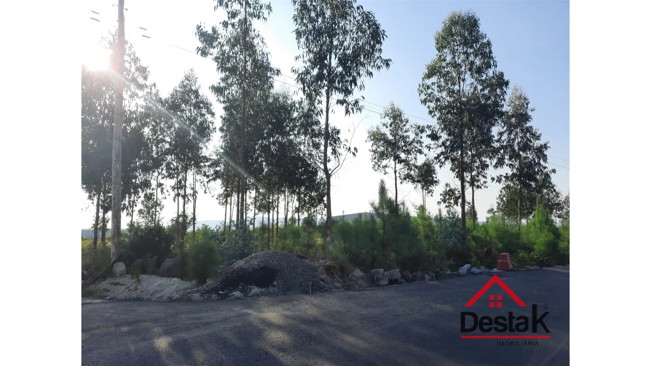 Terreno para Venda em Campia Foto 10