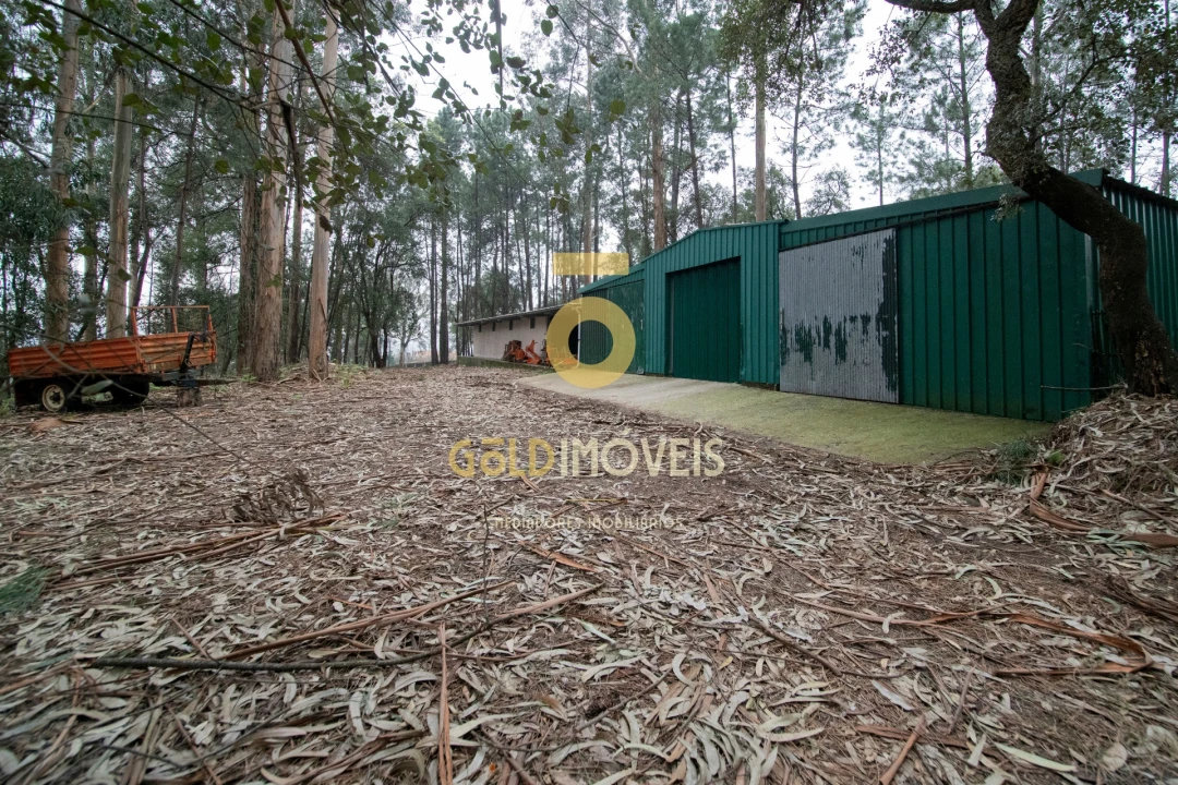 Quinta T0 para Venda em O. Azeméis, Riba-Ul, Ul, Macinhata Seixa, Madail Foto 51