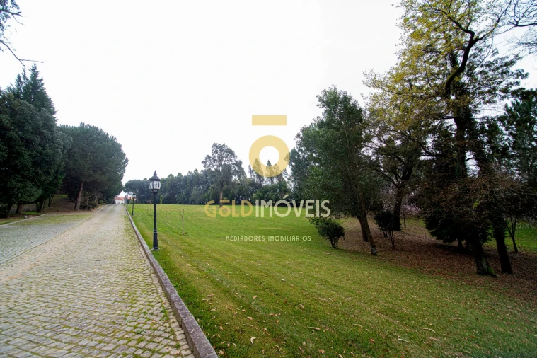 Quinta T0 para Venda em O. Azeméis, Riba-Ul, Ul, Macinhata Seixa, Madail Foto 9