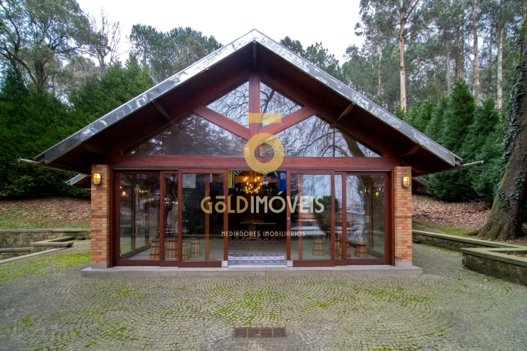 Quinta T0 para Venda em O. Azeméis, Riba-Ul, Ul, Macinhata Seixa, Madail Foto 30