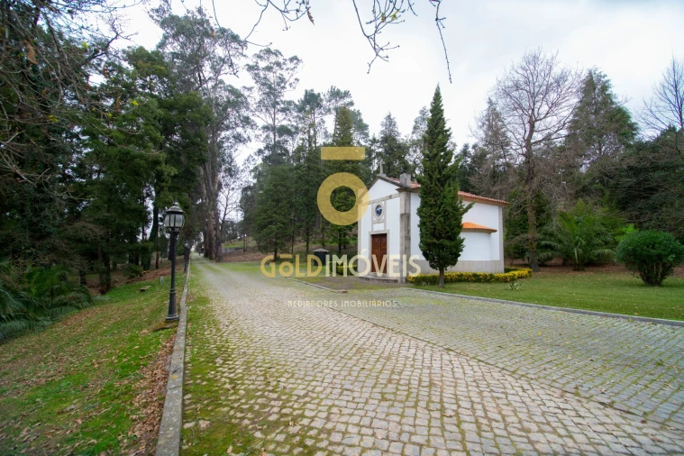 Quinta T0 para Venda em O. Azeméis, Riba-Ul, Ul, Macinhata Seixa, Madail Foto 23