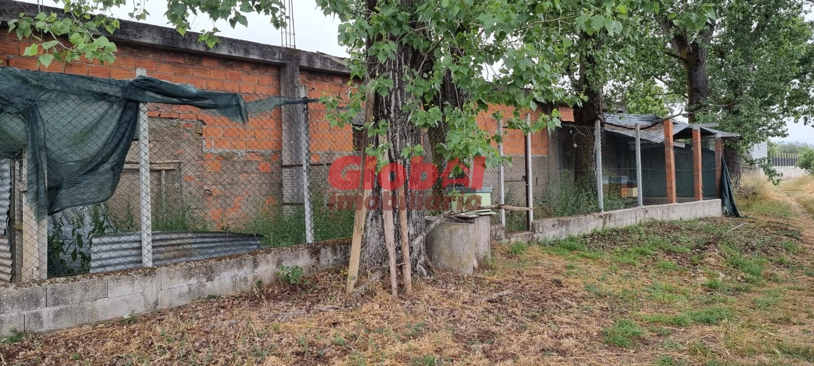 Quinta T0 para Venda em Couto de Baixo e Couto de Cima Foto 2