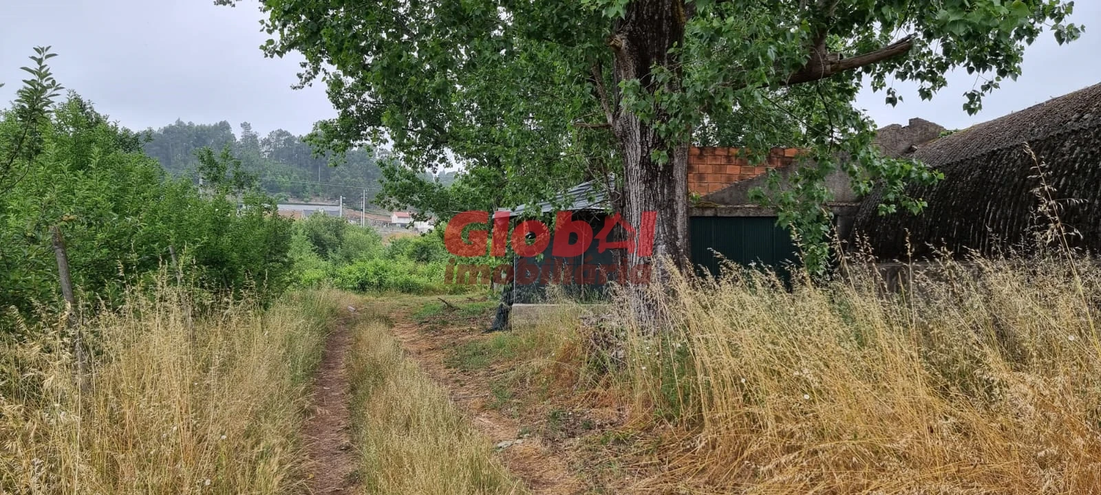 Quinta T0 para Venda em Couto de Baixo e Couto de Cima Foto 4