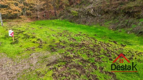 Terreno para Venda em São Pedro do Sul, Várzea e Baiões