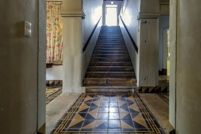 Quinta T8 para Venda em Tamengos, Aguim e Óis do Bairro