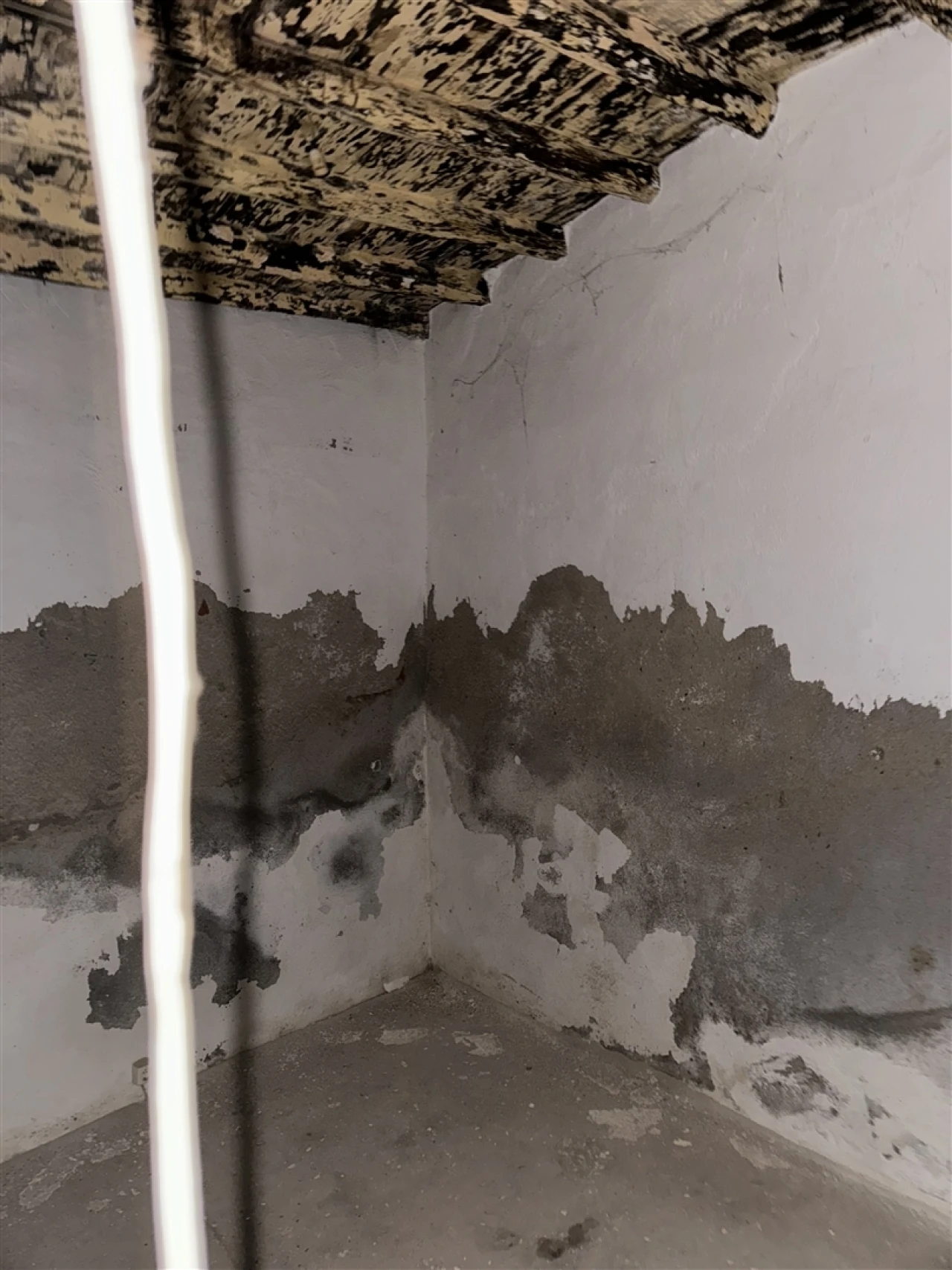 Prédio para Venda em Alagoa Foto 13