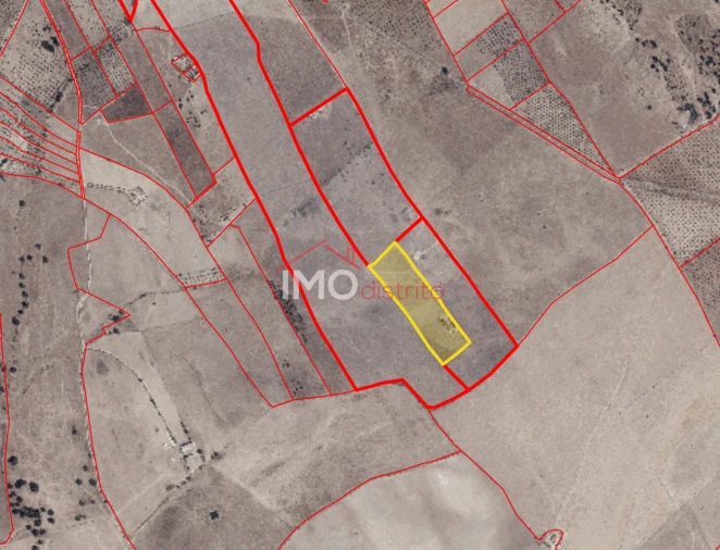 Terreno para Venda em Vaiamonte Foto 13