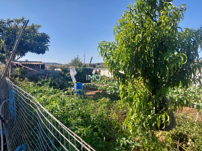 Terreno para Venda em Vaiamonte Foto 7