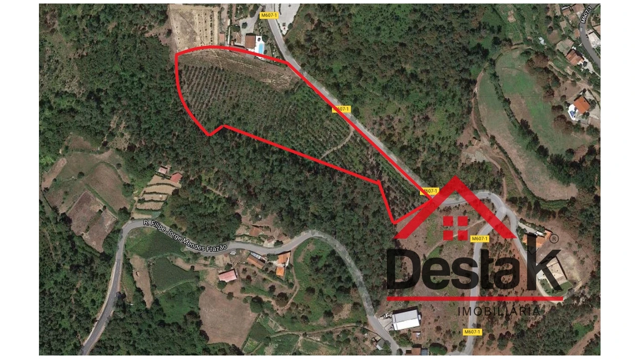 Terreno Misto para Venda em São Pedro do Sul, Várzea e Baiões Foto 6