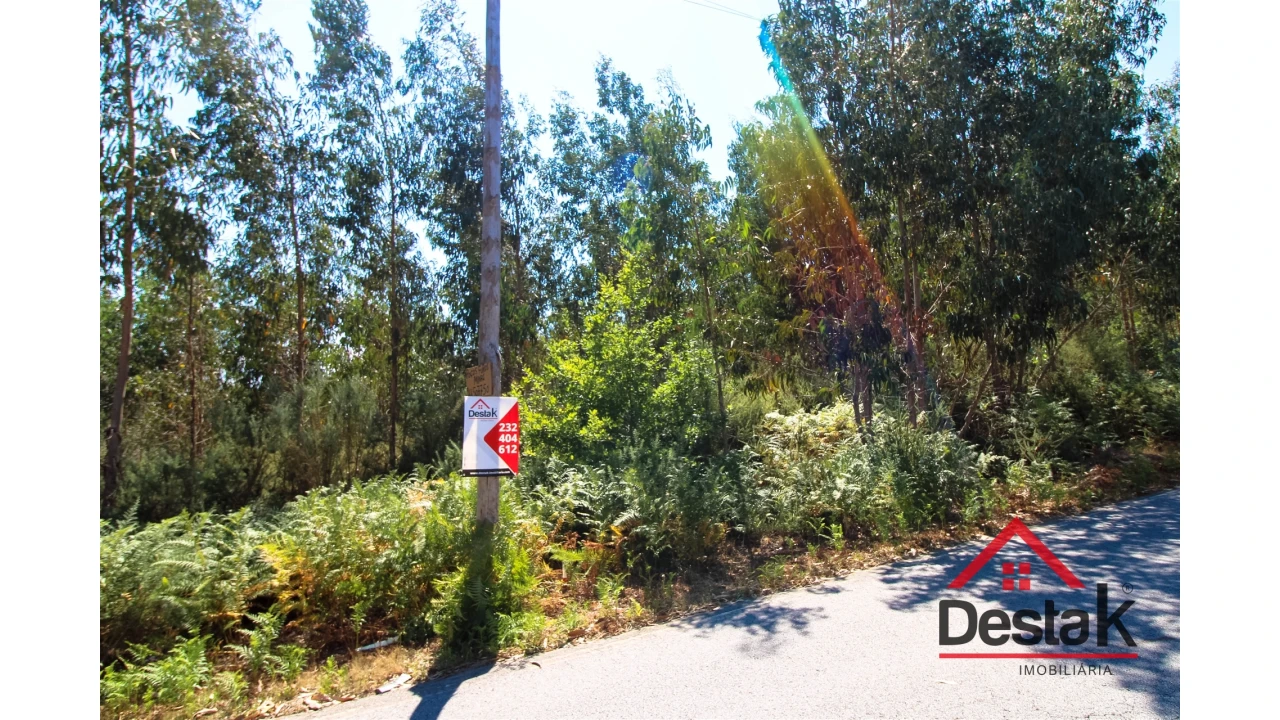 Terreno Misto para Venda em São Pedro do Sul, Várzea e Baiões Foto 5