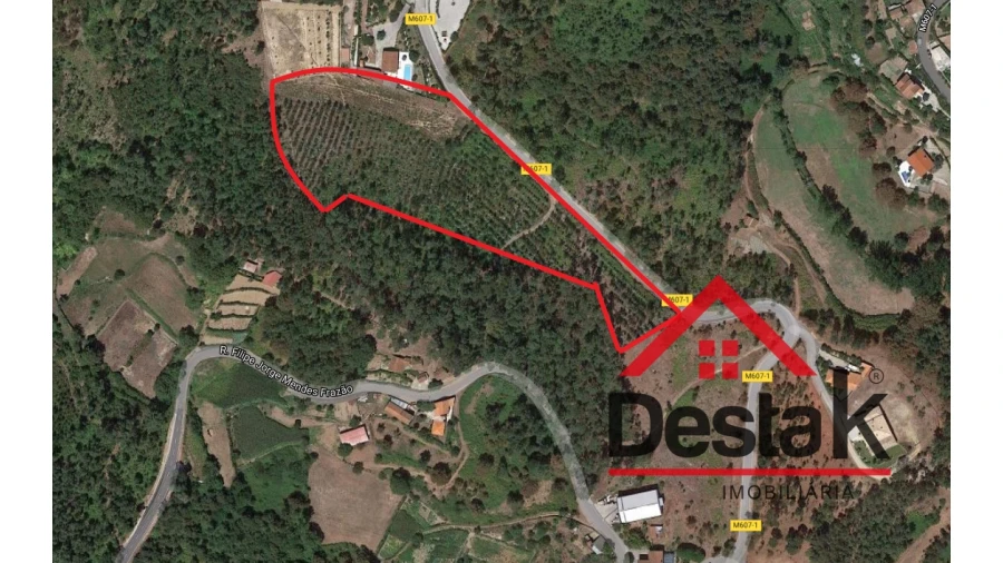 Terreno Misto para Venda em São Pedro do Sul, Várzea e Baiões Foto 6