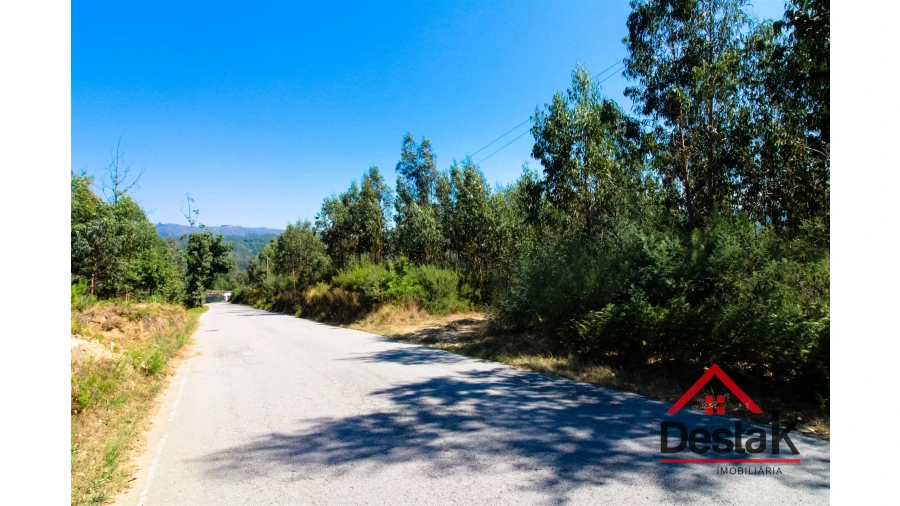 Terreno Misto para Venda em São Pedro do Sul, Várzea e Baiões Foto 4
