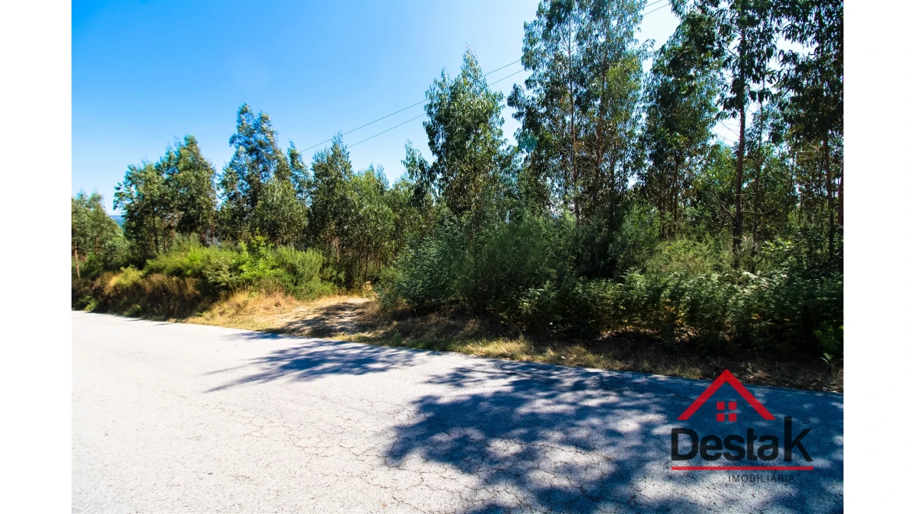 Terreno Misto para Venda em São Pedro do Sul, Várzea e Baiões Foto 1