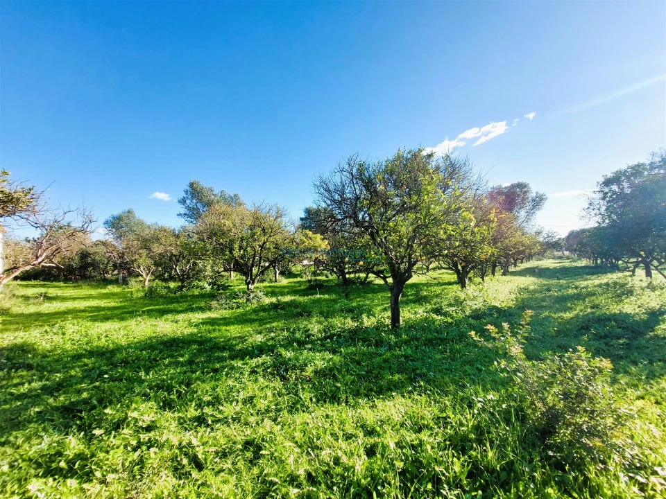 Moradia T2 para Venda em Santa Barbara de Nexe Foto 17