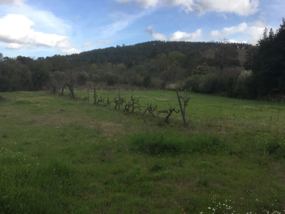 Quinta T0 para Venda em Castelo de Penalva Foto 4
