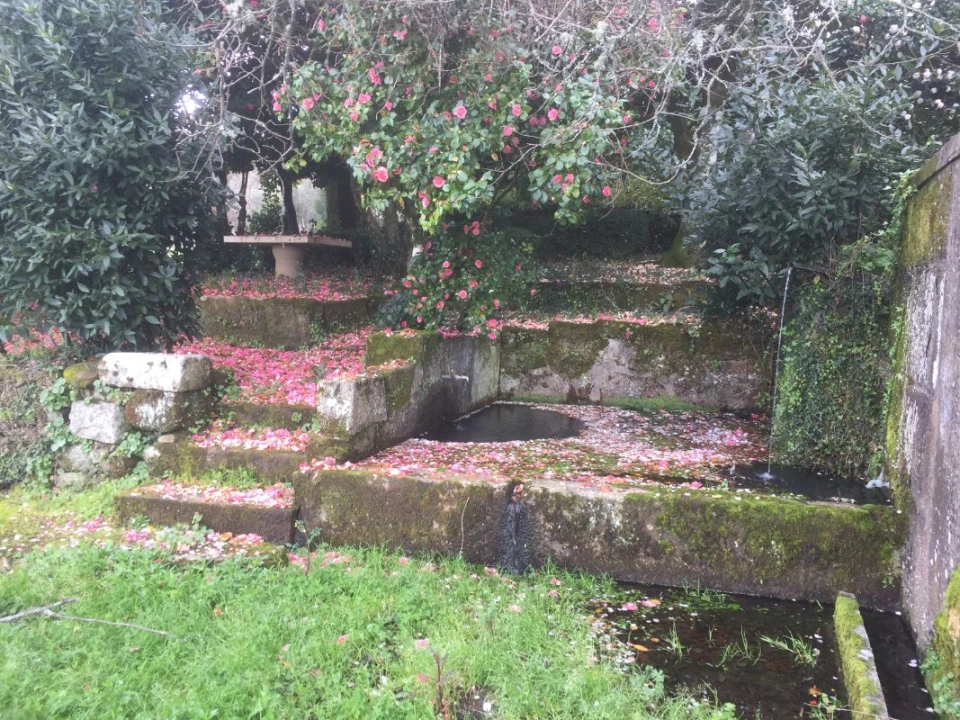 Quinta T0 para Venda em Castelo de Penalva Foto 6