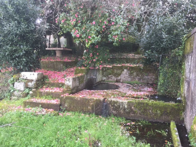 Quinta T0 para Venda em Castelo de Penalva Foto 6