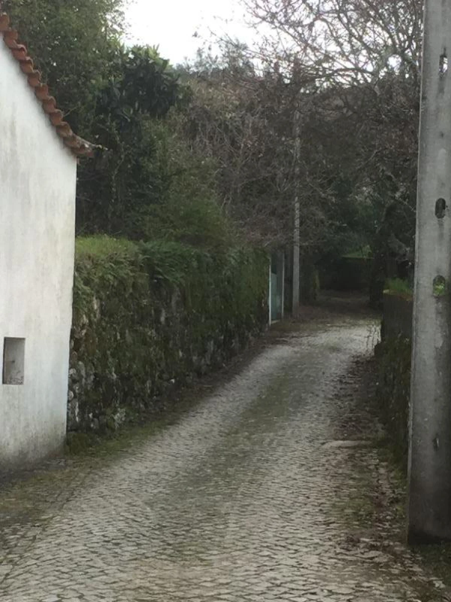 Quinta T0 para Venda em Castelo de Penalva Foto 17