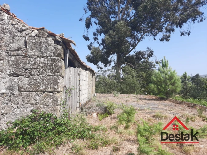 Terreno para Venda em Fataunços e Figueiredo das Donas Foto 18