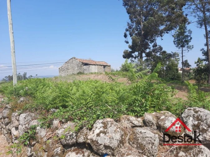 Terreno para Venda em Fataunços e Figueiredo das Donas Foto 13