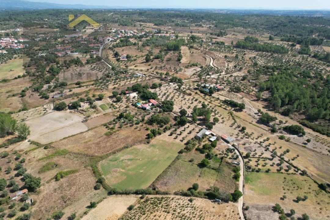 Terreno Agricola ou Rústico para Venda em Freixial e Juncal do Campo Foto 41