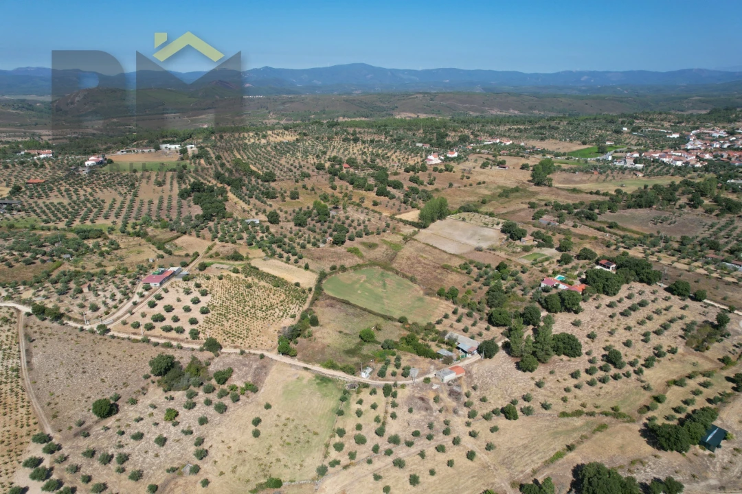 Terreno Agricola ou Rústico para Venda em Freixial e Juncal do Campo Foto 42