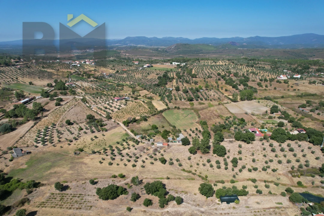 Terreno Agricola ou Rústico para Venda em Freixial e Juncal do Campo Foto 43