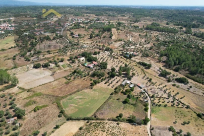 Terreno Agricola ou Rústico para Venda em Freixial e Juncal do Campo