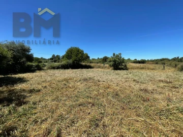 Terreno Agricola ou Rústico para Venda em Freixial e Juncal do Campo