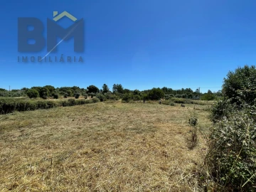 Terreno Agricola ou Rústico para Venda em Freixial e Juncal do Campo
