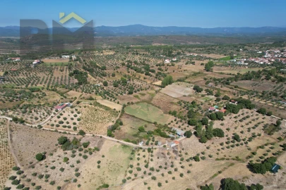 Terreno Agricola ou Rústico para Venda em Freixial e Juncal do Campo